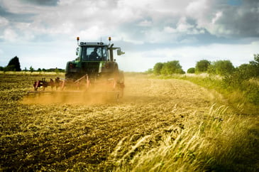 Tractor ploughing field