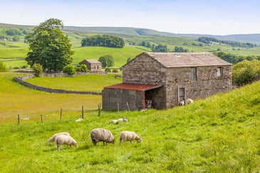Yorkshire farm