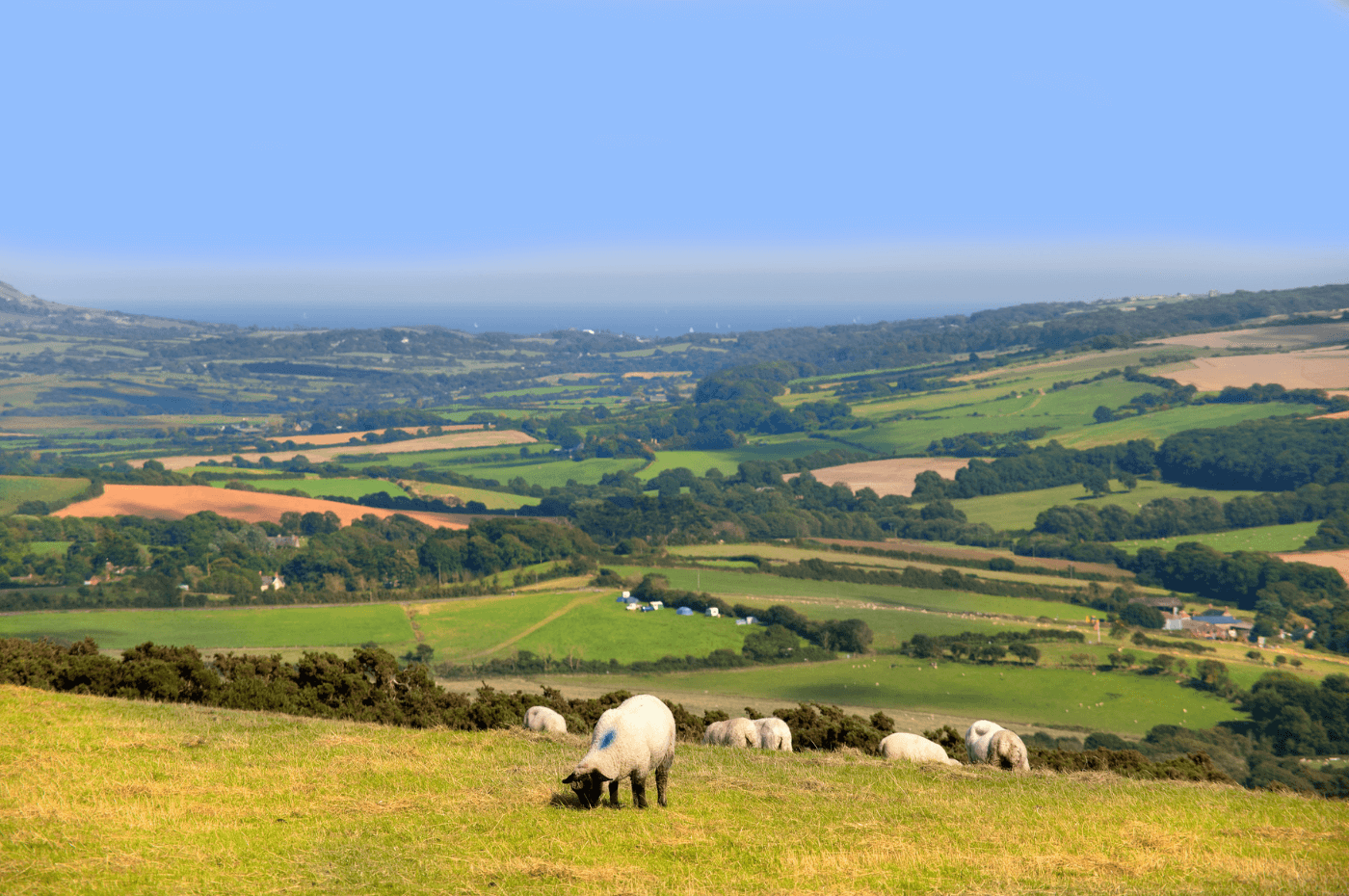 Dorset-countryside-Shutterstock-August-2022-1400x930px-4