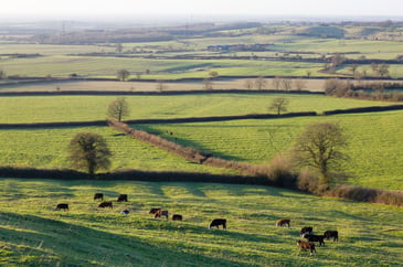 Rural Britain spotlighted amid Budget backlash