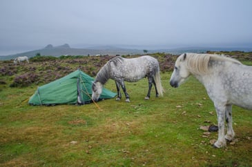 Tim Bonner: Camping, trespass and culture wars