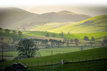 Rural landscape