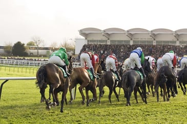 Join us on Countryside Day at Cheltenham