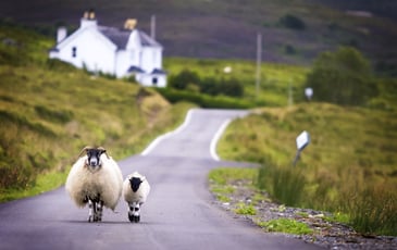 Rural workers: Should the Scottish Parliament have powers to change immigration legislation?